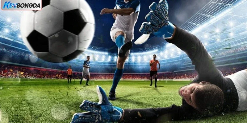 12BET - Thiên Đường Cá Cược Bóng Đá Cực Hấp Dẫn Năm 2025