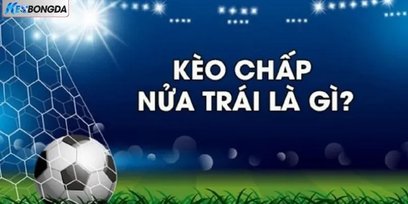 Kèo Cá Cược Bóng Đá Chấp 0.5 Là Gì? Tìm Hiểu Từ A - Z