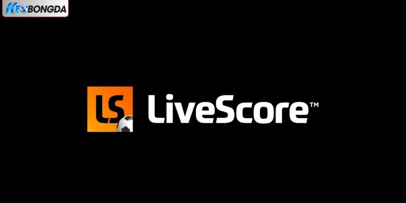 Tính năng Livescore nổi bật