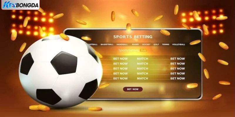 Nhà cái cung cấp odds thưởng cao bất thường