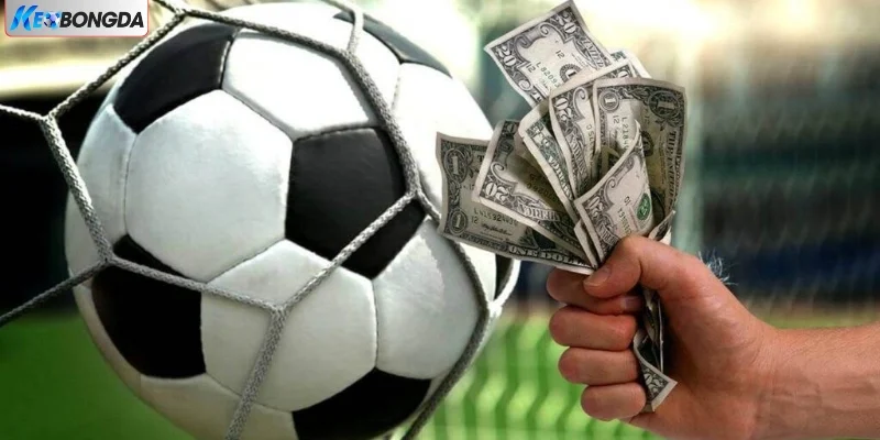 Chia Sẻ 4 Cách Quản Lý Cảm Xúc Khi Chơi Kèo Bóng Đá 2026