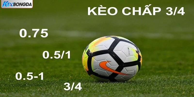 Top 5 Mẹo Chơi Kèo Chấp 0.75 Siêu Hay Dành Cho Tân Thủ
