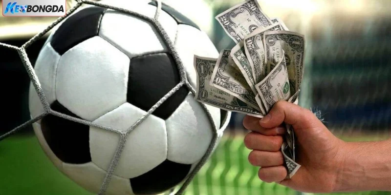 5 Mẹo Chơi Kèo Chấp 1 Trái Cực Hay 2026 Từ Cao Thủ